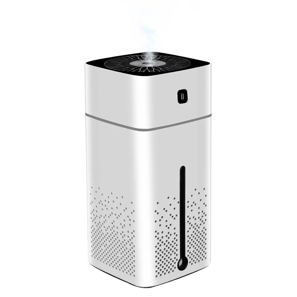 1L Humidifier Cool Mist & Warm Mist 